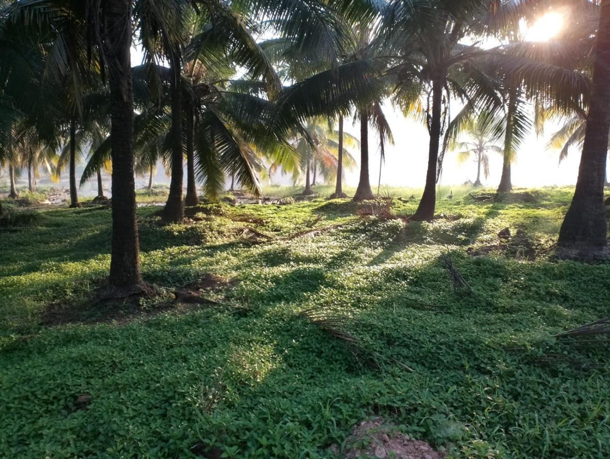 Bekal Village Homestay Kāsaragod Eksteriør billede